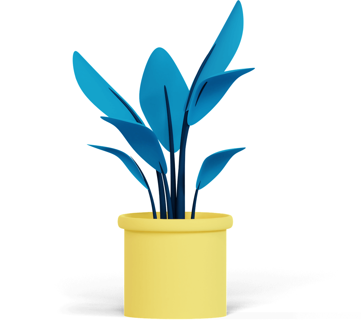 Plant-2-1.png
